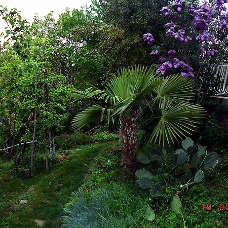 Guest house Fanny Sinemorets