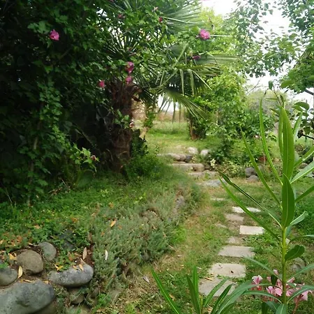 Guest house Fanny Sinemorets Sinemoretz